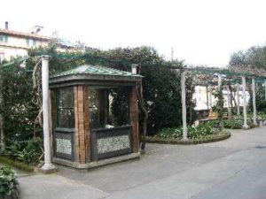 IMG_0294