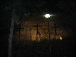 IMG_0353