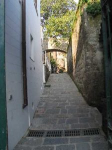 IMG_0368