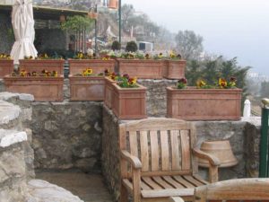 IMG_0445 50