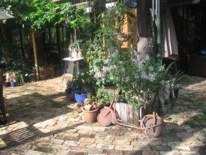 IMG_0687 50