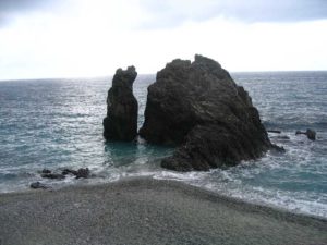 IMG_1248