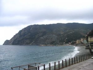 IMG_1249