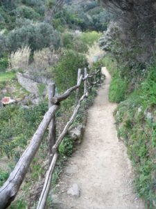 IMG_1279 50