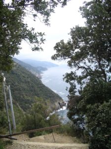 IMG_1291
