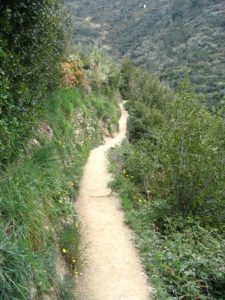 IMG_1294