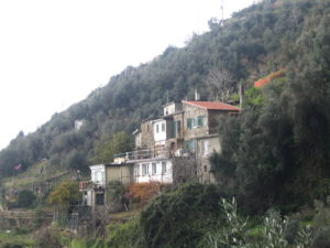 IMG_1303