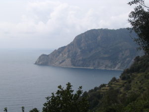 IMG_1307