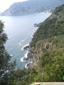 IMG_1313