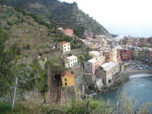 IMG_1341 50