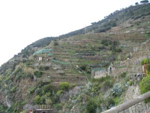 IMG_1353