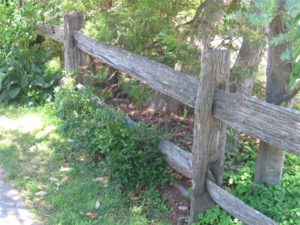 IMG_0031 (3)