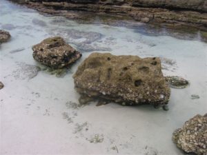 IMG_0055 (2)