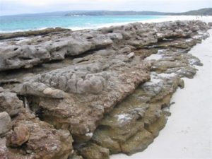 IMG_0057 (2)