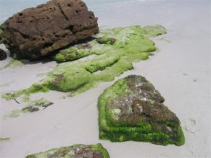 IMG_0058 (2)