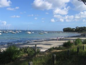 IMG_0096 (2)