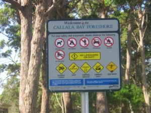 IMG_0098 (3)