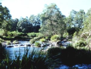 Wilsons Creek