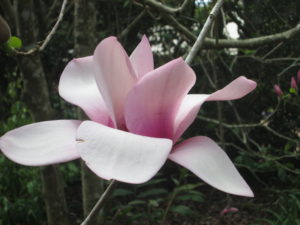 027