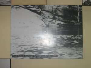 Copy of IMG_0291