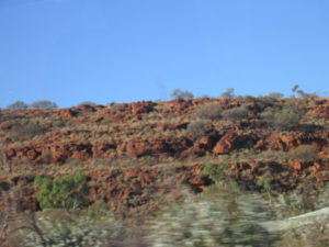 IMG_0257