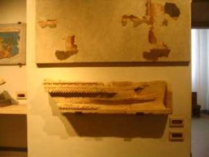 DPSCamera_0242