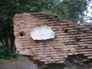 DPSCamera_0259