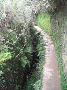 IMG_1282 50