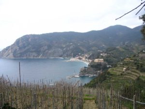 IMG_1289 50
