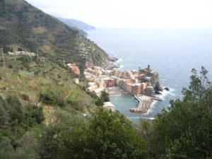 IMG_1331 50