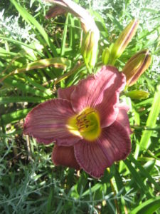 058